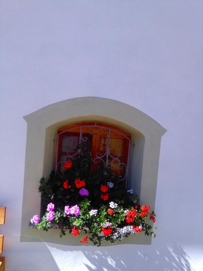 Achillea Bed & Breakfast Віго-ді-Фасса Екстер'єр фото